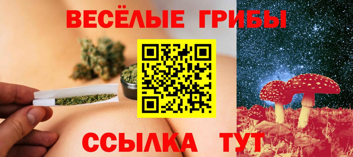 Славгород  Псилоцибиновые грибы мухоморы  Галлюциногенные грибы MAGIC MUSHROOMS  Вход с VPN 